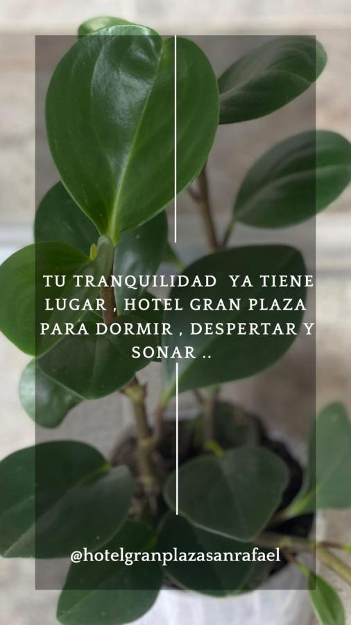 Hotel Gran Plaza San Rafael San Rafael  Eksteriør bilde